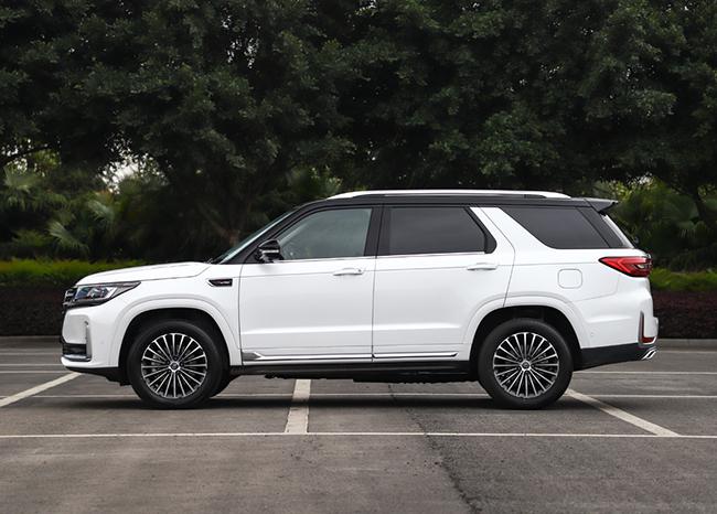 20万落地 国产7座中大型SUV怎么选？