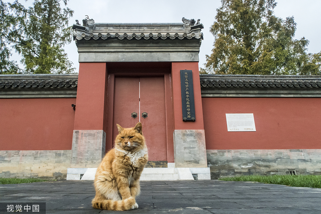 去故宫修文物门槛太高 网友：我去故宫擦文物行吗