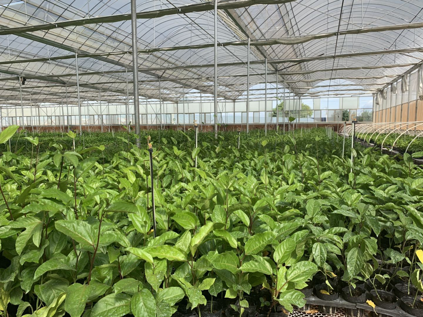 珵农业科技发展有限公司带动百姓脱贫致富