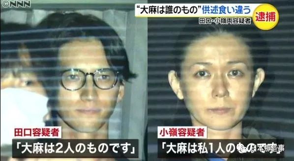田口淳之介被处以有期徒刑 在法庭向女友高调示爱