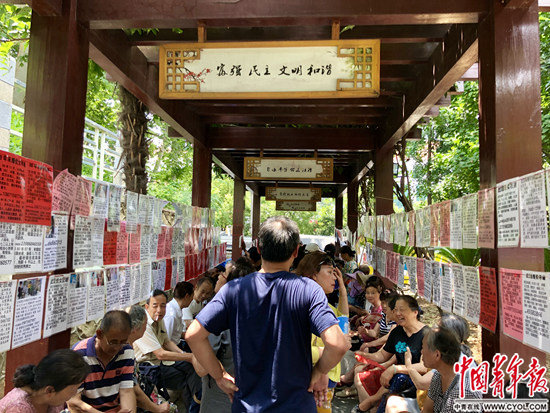 7月3日,武汉洪山公园里的“星期三相亲会”现场。中国青年报·中国青年网记者 朱娟娟/摄
