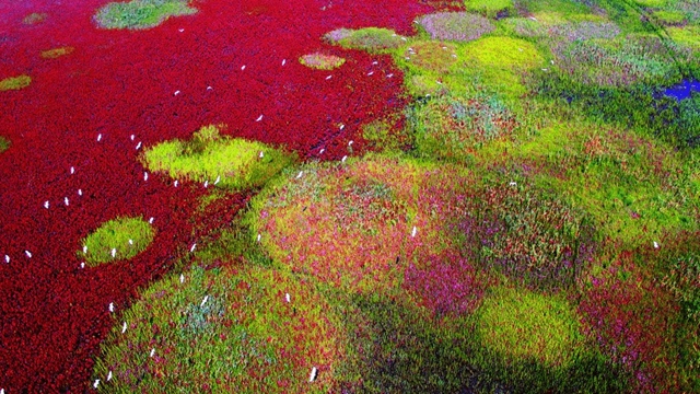 2019新增29处自然文化遗产,退群的美国惹争议