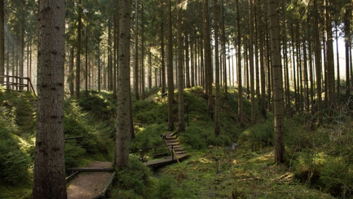 2019新增29处自然文化遗产,退群的美国惹争议