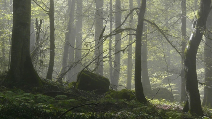 2019新增29处自然文化遗产,退群的美国惹争议