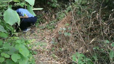 湖北郧西2岁半男童家门口失联5天 已排除生母抱走