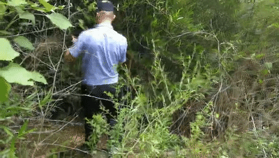 湖北郧西2岁半男童家门口失联5天 已排除生母抱走