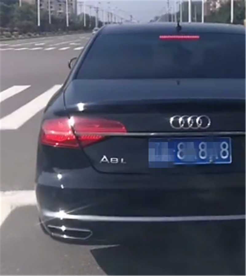 250万奥迪A8L现沈阳,单单车牌就值7万,尾部一标识比车还吸睛