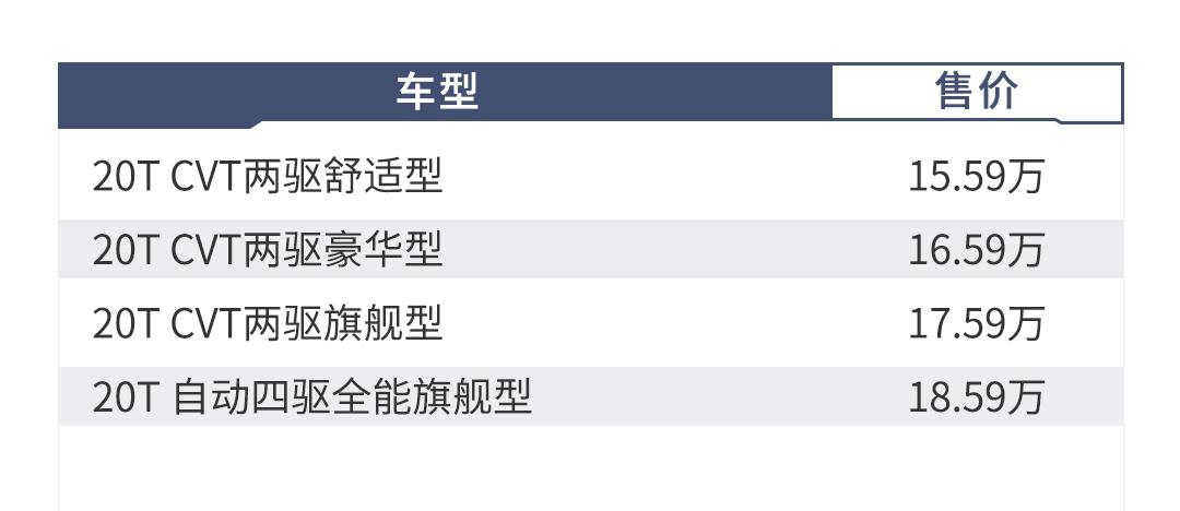 12.59万起！两台刚上市新款SUV竟有豪华感，这么选真赚！