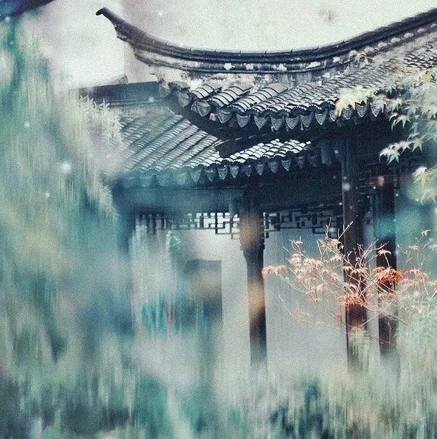 春雨有哪些特点