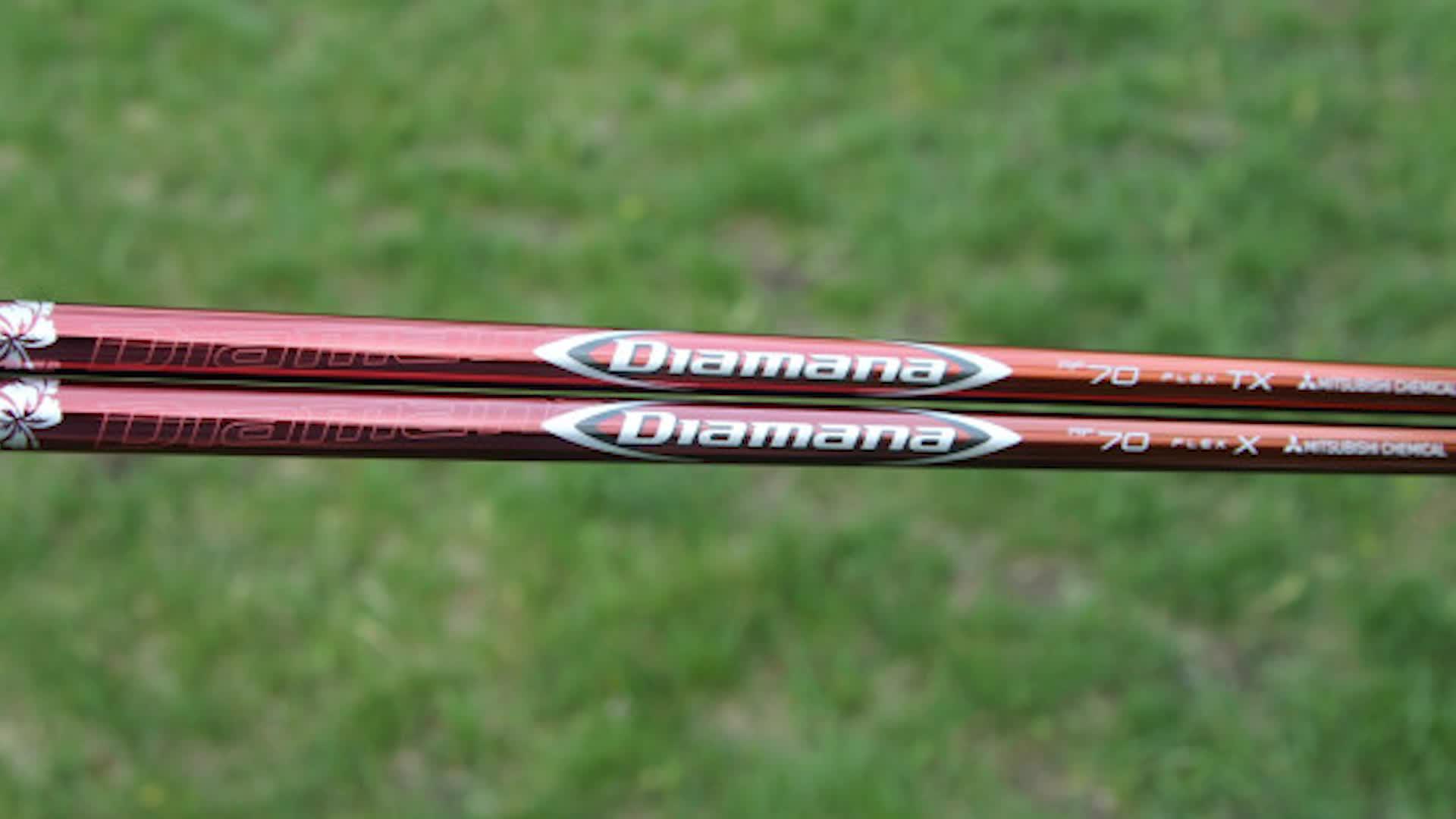 高烧工房：福瑞