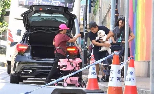 懒理旧爱庄家彬结婚，傅明宪与新男友亲密遛狗，这次又是姐弟恋