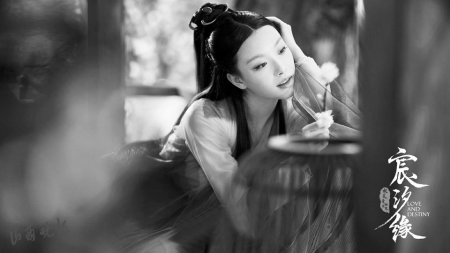 东方气韵大剧演绎爱情传奇