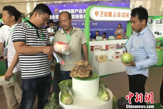 外地客商了解宁夏蔬菜。 马善婷 摄