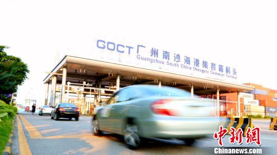 9辆出口二手车依次驶入南沙港二期码头 殷寿柏 摄