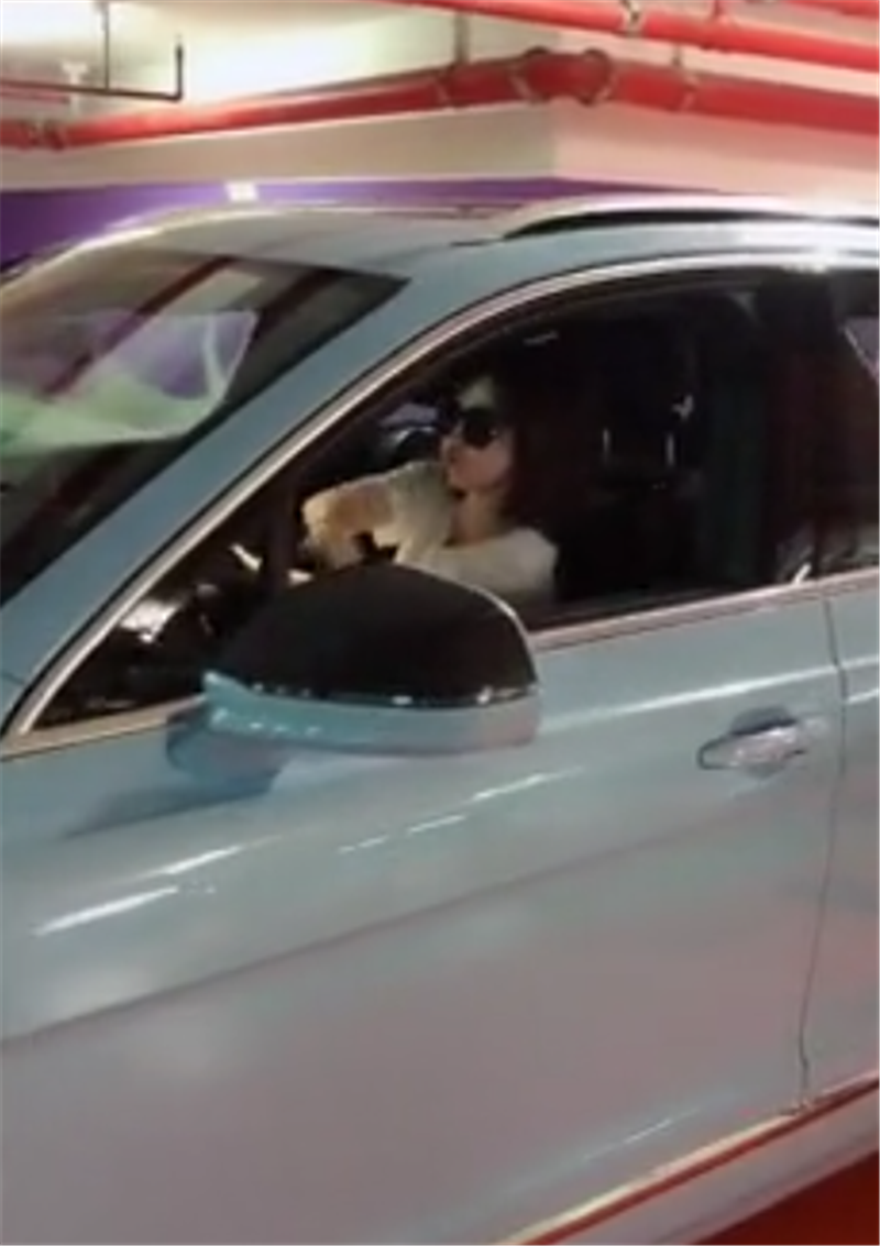 610万宾利添越现车库,608匹马力,4.1秒破百,女车主比车吸睛