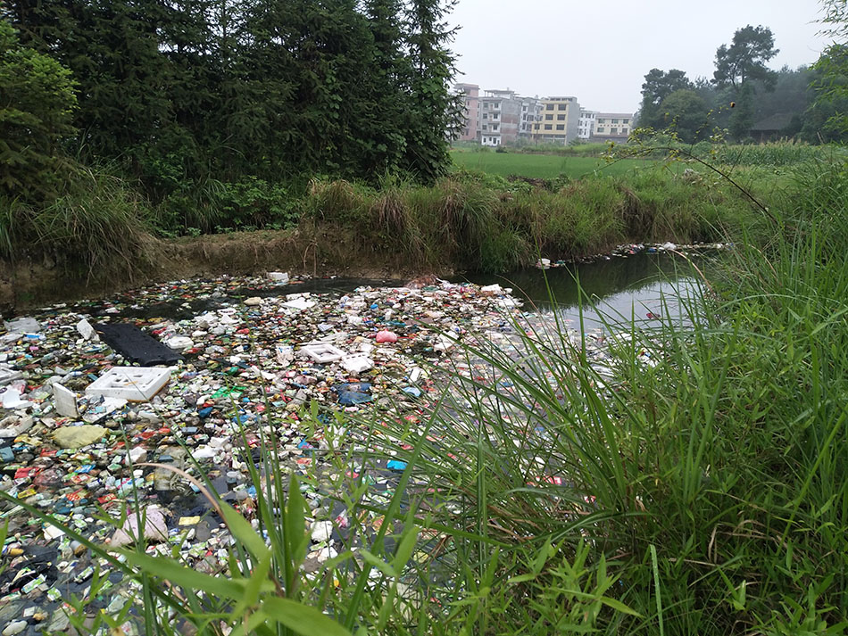 废弃农田大坑填埋生活垃圾 受访者供图