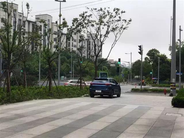 茶哥探店,揭秘造车新势力新零售
