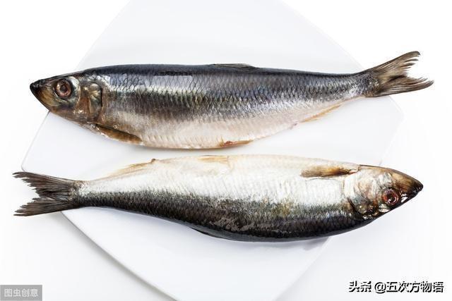 你眼中价格低廉的“青鱼”，其实是进口的太平洋鲱