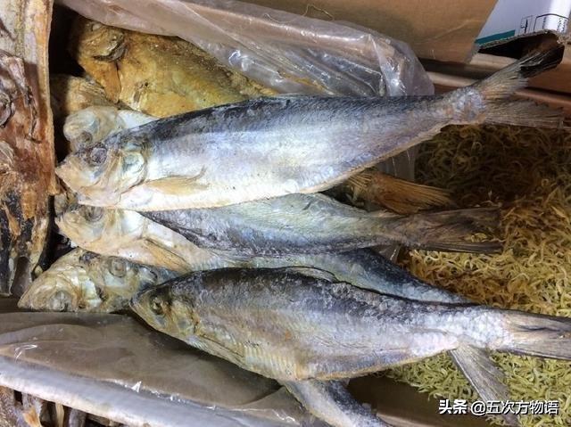 你眼中价格低廉的“青鱼”,其实是进口的太平洋鲱 你眼中价格低廉的“青鱼”,其实是进口的太平洋鲱