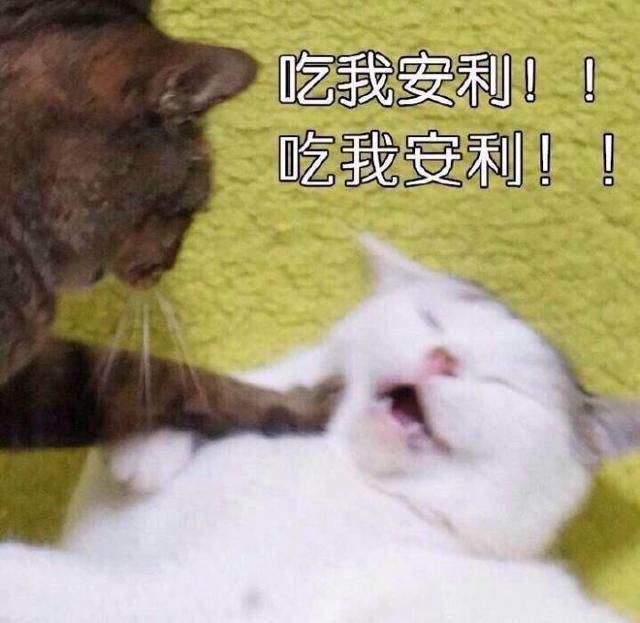 国产新能源黑马:20分钟充电80%,续航超500km,网友都坐不住了