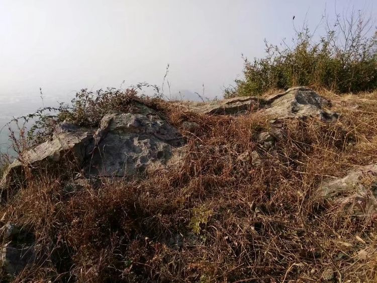 书生在山上捡到一把开山斧