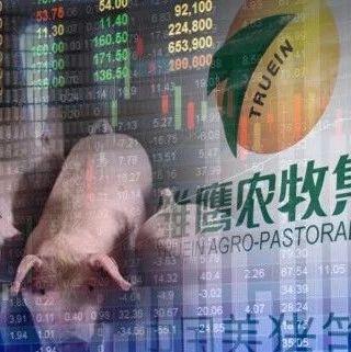 招聘网上兼职信息发布_还剩5天:面值退市第2家是*ST雏鹰? 18万股东仍困守
