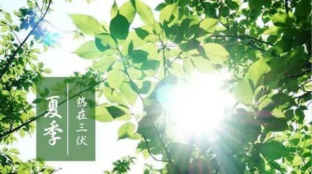 三伏天是一年当中最闷热的时候,天气炎热出汗多,非常容易发生中暑.