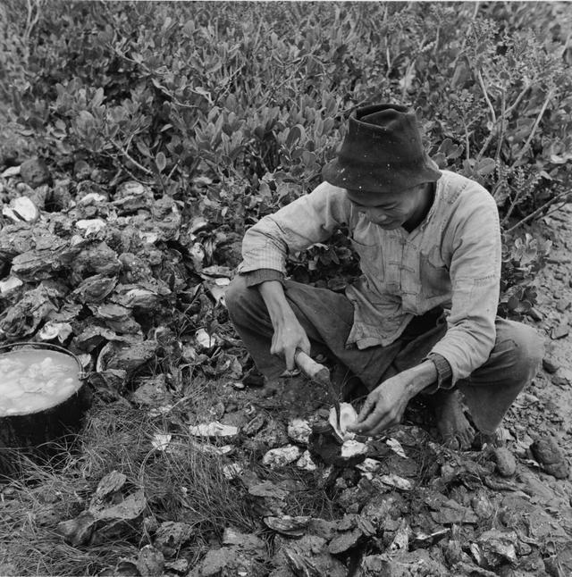 70年代的老照片农民各式农忙的情景