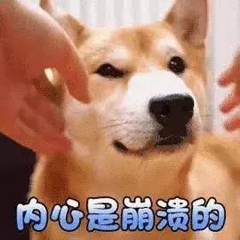 垃圾回收要花钱，汽车回收能赚钱，还不先买辆车？