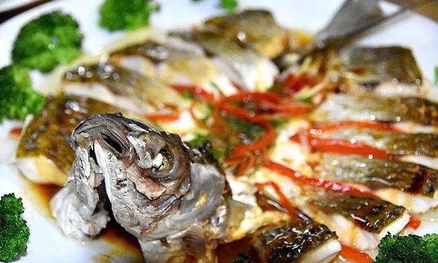 食材分享:鲻鱼,红烧,清蒸皆美味,做法简单营养好