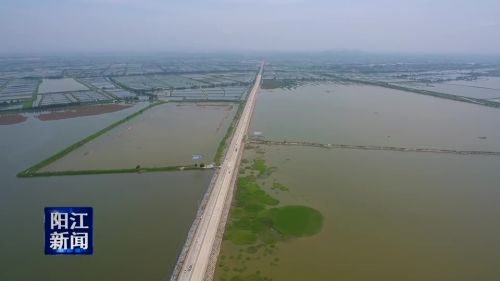 一道长堤接翠微—海陵大堤建设史话_阳江视听网