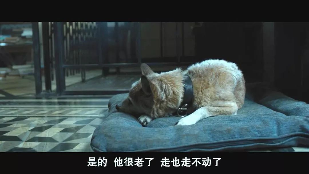 每一秒都高能的悬疑片终于来了,过瘾 每一秒都高能的悬疑片终于来了,过瘾