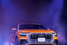 不同外观的奥迪Q8，这个颜色需要勇气 晚安