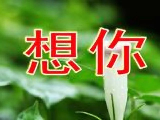 亲！《爱你多甜蜜》，想你...想你...想你...你知道吗？真的好想你~