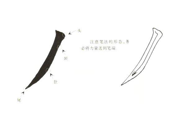五种楷书撇的写法,简简单单的认识和分辨,三分钟区分撇的写法