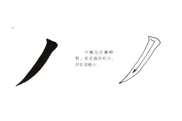 五种楷书撇的写法简简单单的认识和分辨三分钟区分撇的写法