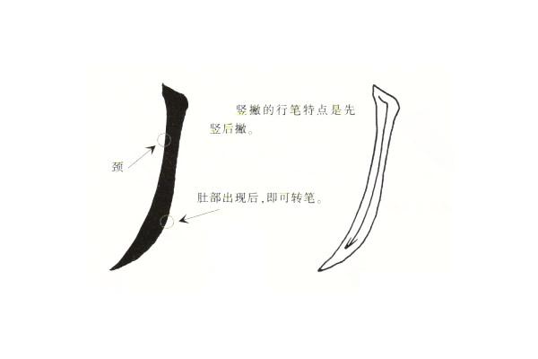 五种楷书撇的写法,简简单单的认识和分辨,三分钟区分撇的写法