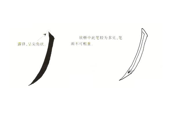 五种楷书撇的写法,简简单单的认识和分辨,三分钟区分撇的写法
