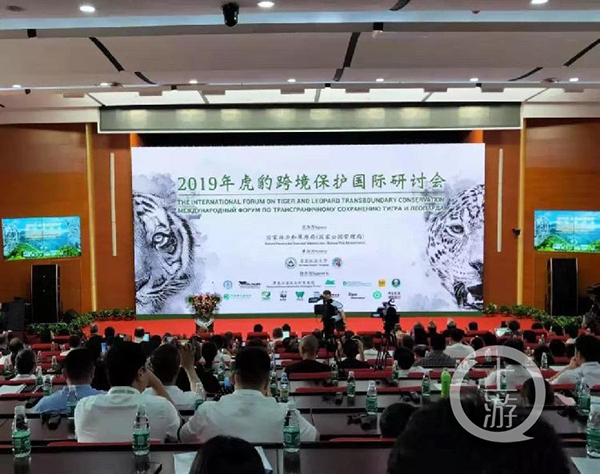 7月28日，2019年虎豹跨境保护国际论坛现场。东北虎豹国家公园 图