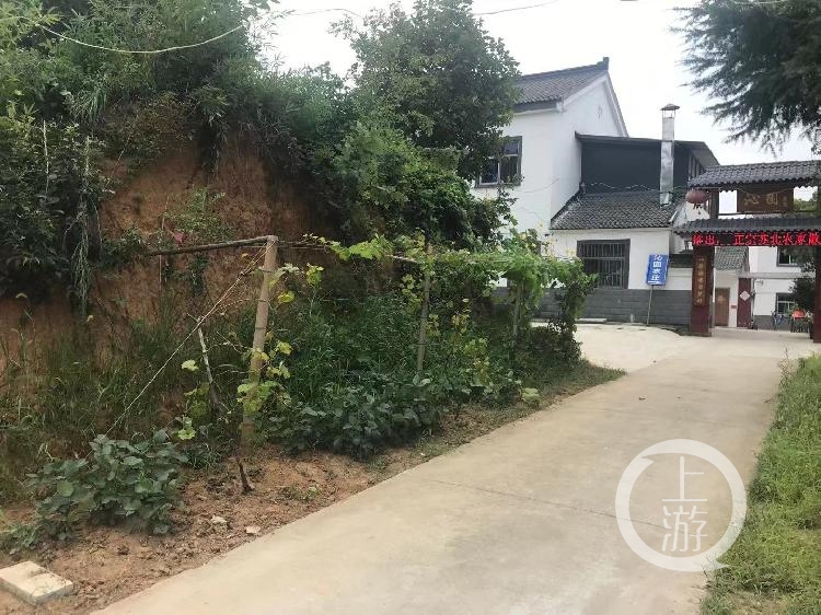 土墩墓被私挖的墓体另一侧搭了蔬菜架,私挖的道路直通农家乐大门。摄影/上游新闻记者 时婷婷