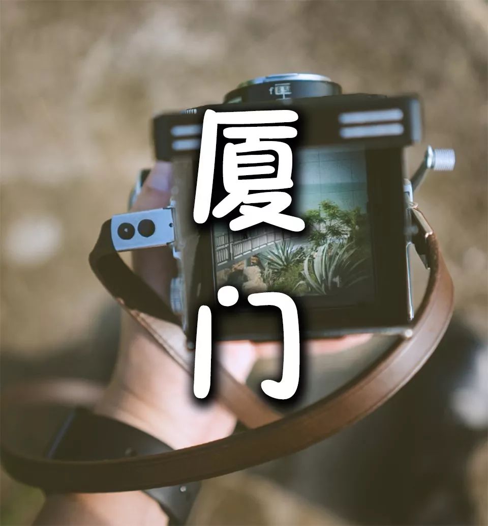 厦门这条海景地铁！美哭了！
