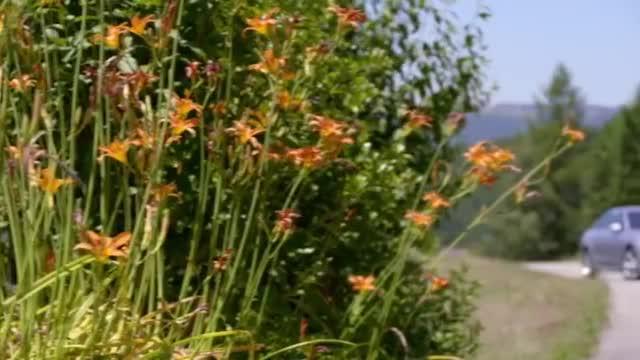 2020奥迪A4轿车-准备好与c级和3系竞争了吗?