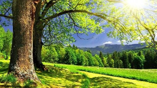 8月5日开始，财源广进，中大奖，得千万横财，腰缠万贯的3生肖