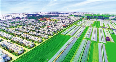 云州区瓜园村人口_瓜州二中的老师照片(3)