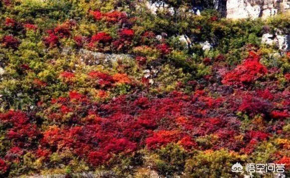 河北的张北草原天路旅游全攻略