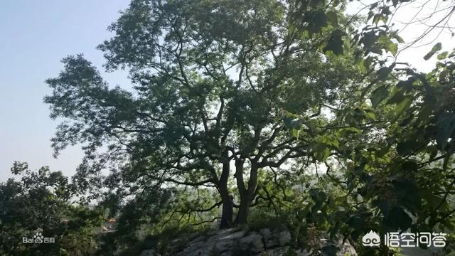 河北的张北草原天路旅游全攻略