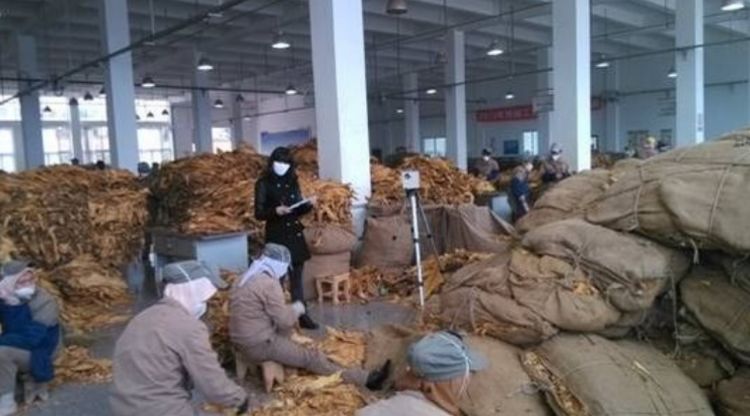 去旅游，为何美国免税店的香烟那么便宜？缘由却很简单！