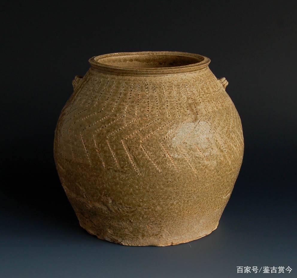 百科知识:人类为何没有尾巴?...