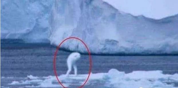 南极冰川发现"人形怪物",难道是人造生物?