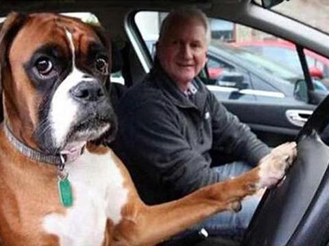 6个让人讨厌的驾驶行为